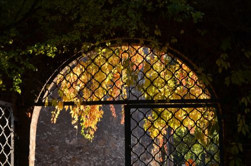 archway autumn input