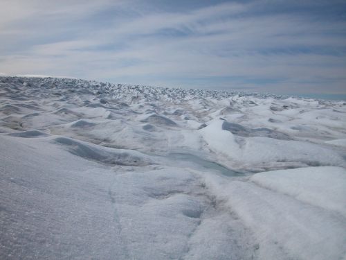 arctic greenland polar