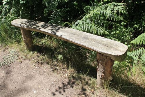 area bench forest