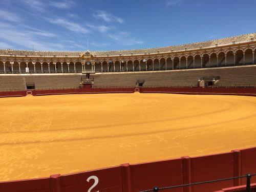 arena travel bullfight