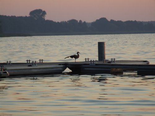 arendsee dawn sunrise