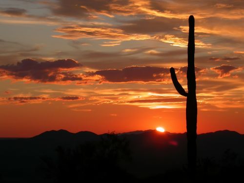 arizona landscape scenic