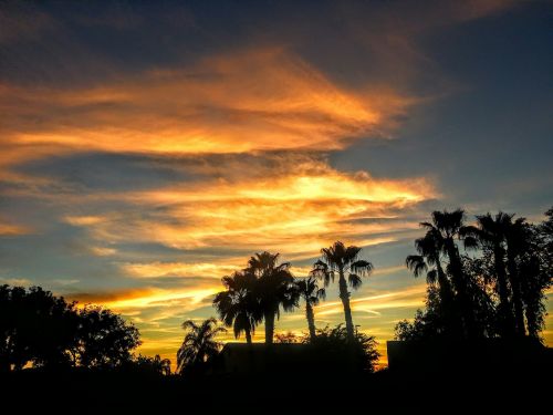 arizona desert sunset