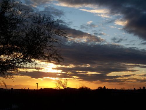 arizona sunset desert