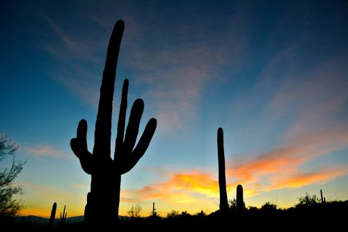 Arizona Sunrise