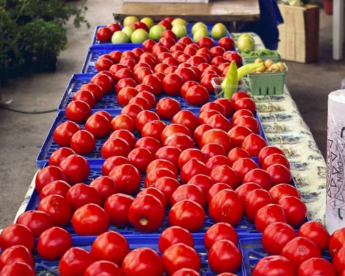 arkansas market tomatoes  red  food