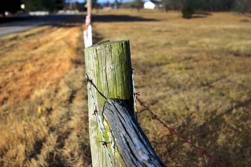 arkansas ozark fence  post  wire