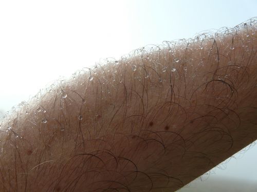 arm skin hair