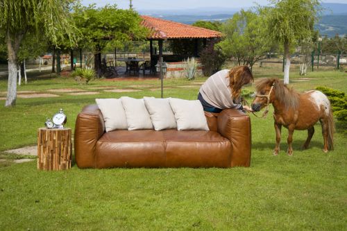 armchair horse furniture