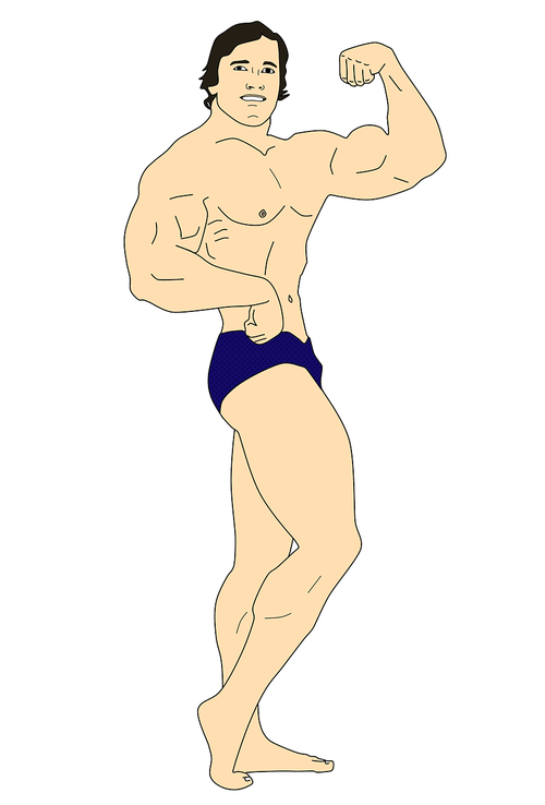 arnold schwarzenegger  muscles  strength