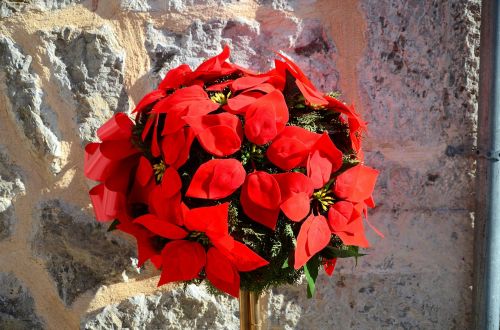 arrangement blumenstock mallorca