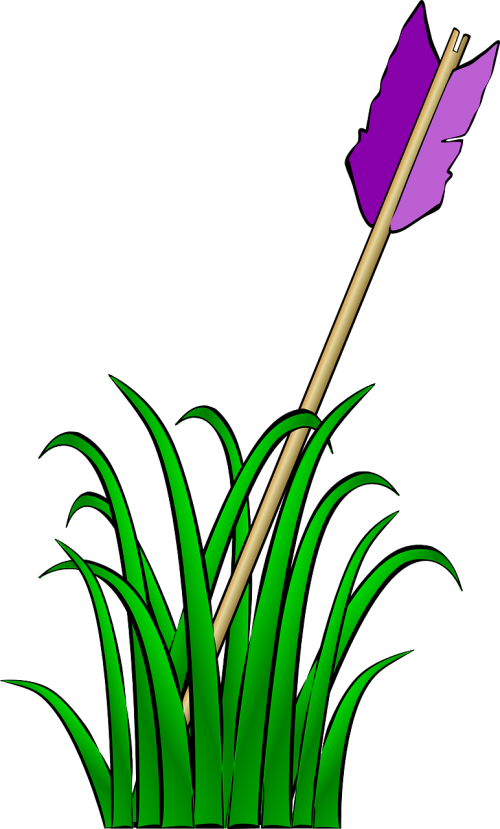 arrow feather purple