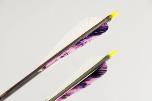 arrow feather sport