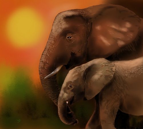 art elephants sun