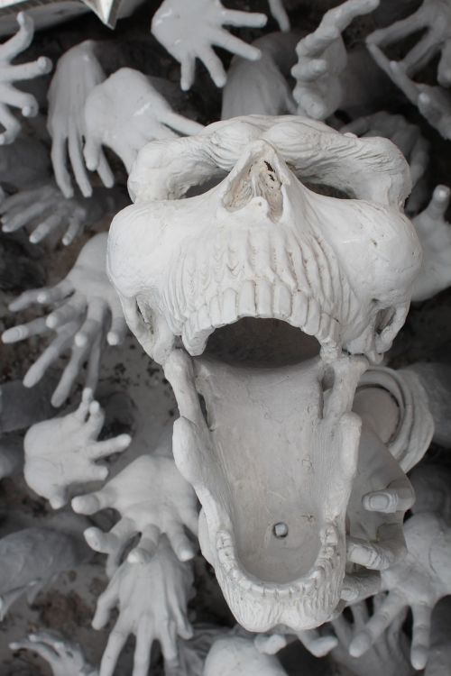 art skull and crossbones white