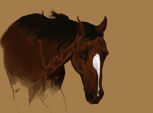art painting horse