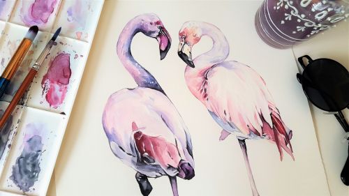 art painting the greater flamingo