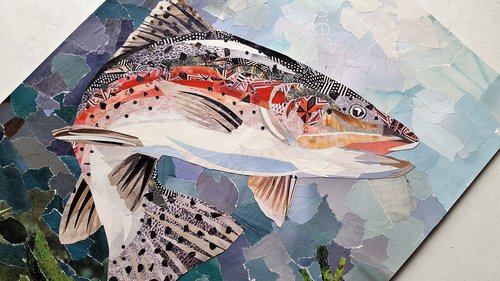 art  collage  fish