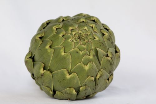 artichoke vegetable kitchen