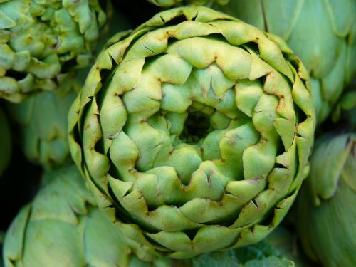 artichoke vegetables green