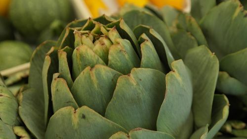 artichokes vegetables green