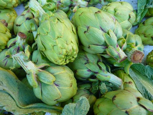 artichokes vegetables green