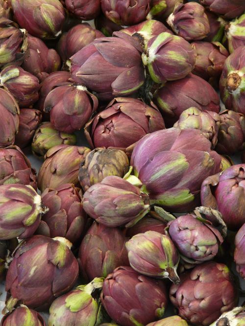 artichokes vegetables medicinal plant