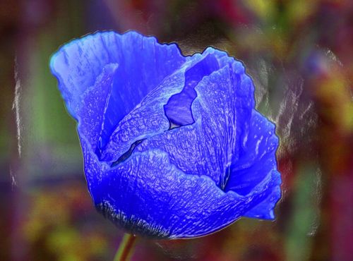 Artificial Blue Poppy