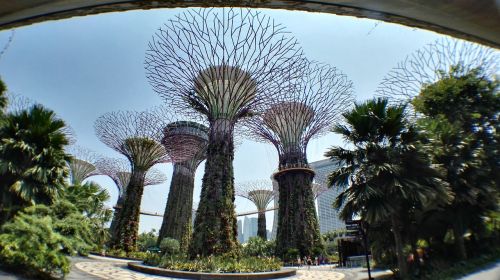 artificial tree singapore botanical garden