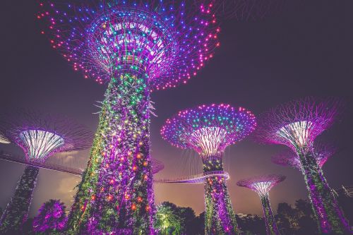 artificial trees illumination buildings