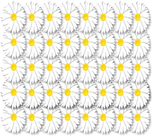 artistic daisy daisies