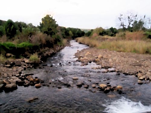 Artistic River Scene