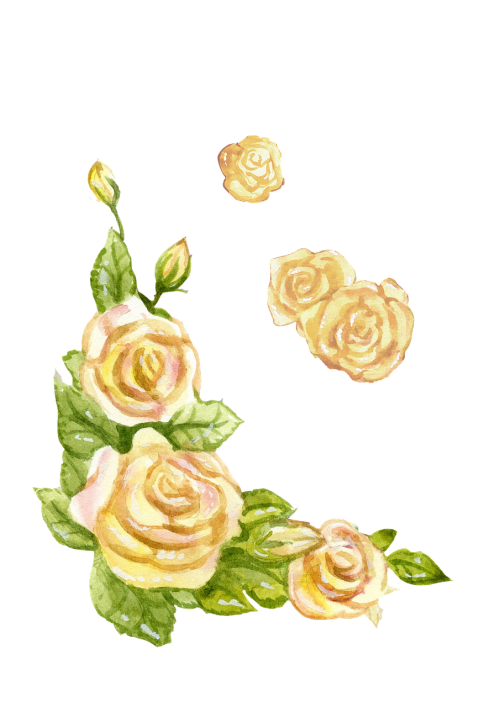 english rose yellow watercolor