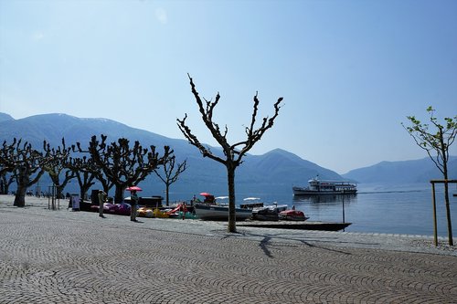 ascona  film  festival