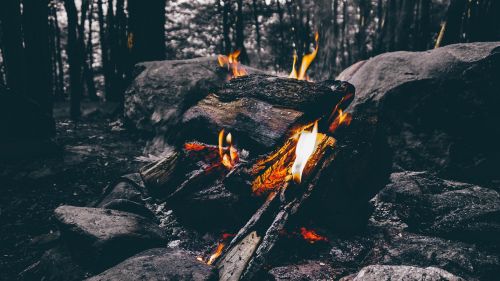 ash burning campfire