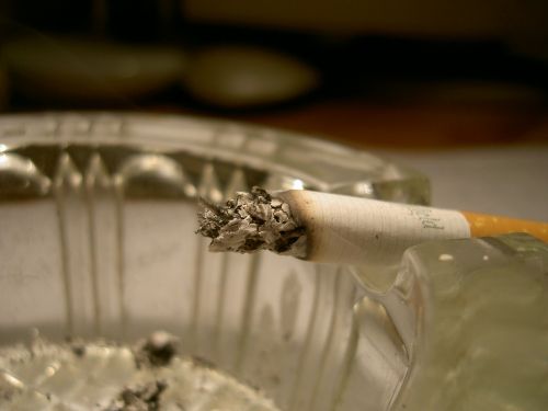 ash cigarette macro