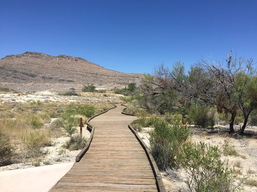 ash springs  boardwalk  desert