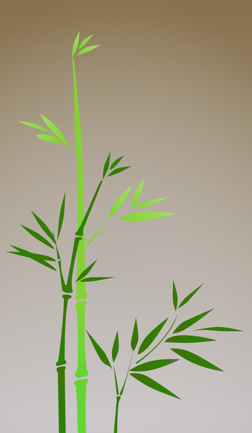 asia bamboo green