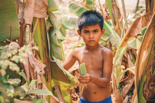 asia asian boy