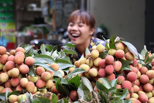 asia  market  vietnam