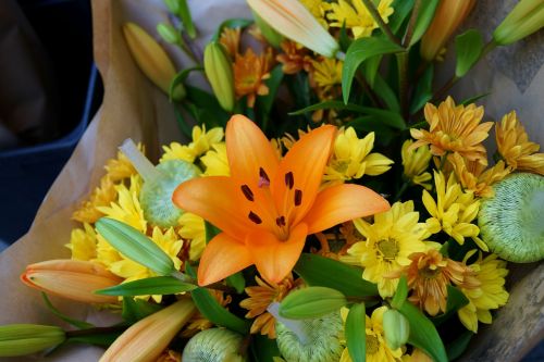 asiatic lily floral bouquet blossom