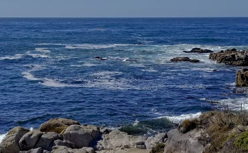 Asilomar Ocean Colors