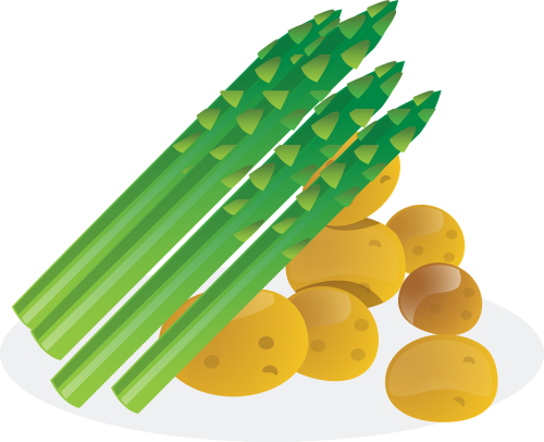 asparagus asparagus plants vegetables