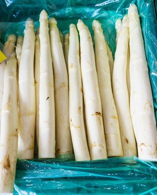 asparagus  market  food