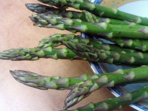 asparagus trigueros food