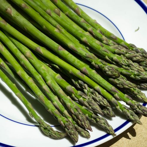 asparagus green food