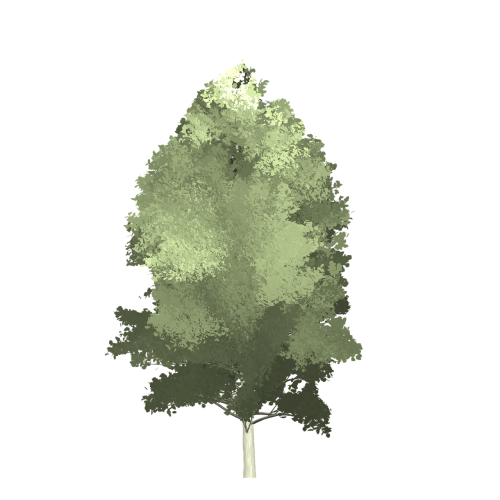 aspen tree painted tree