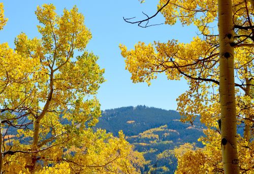 aspen mountains colorado