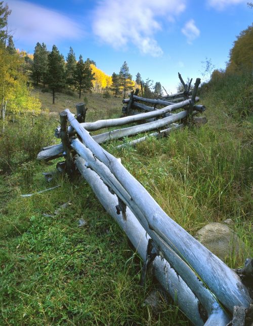 aspen fence fall