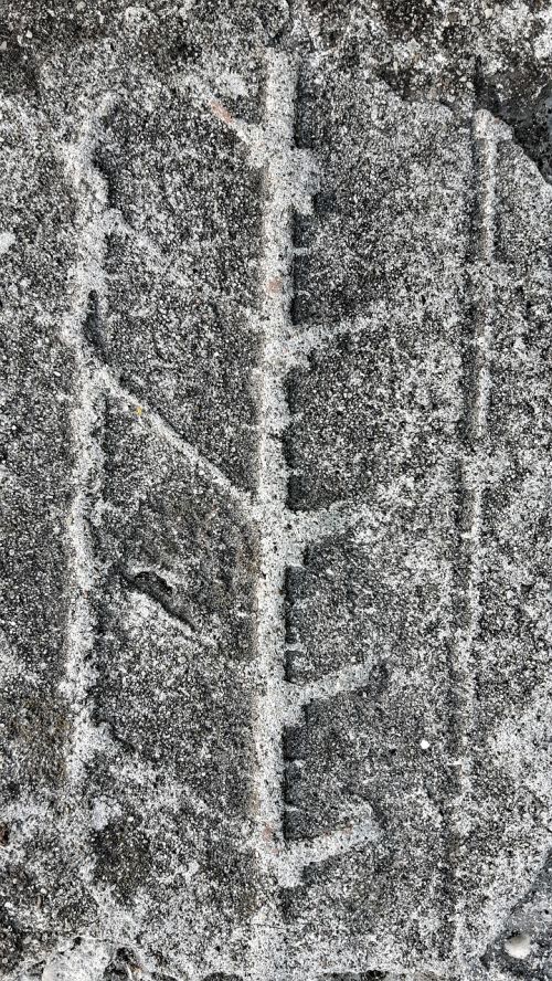 asphalt texture cement
